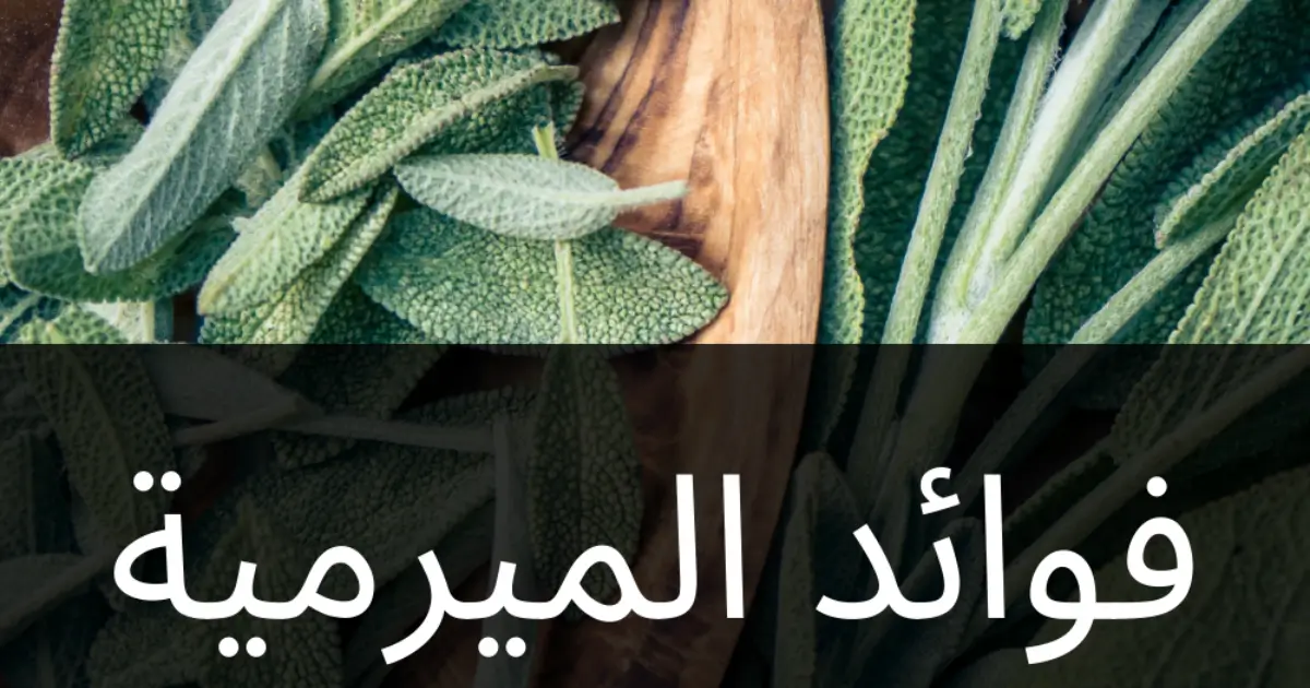 فوائد الميرمية