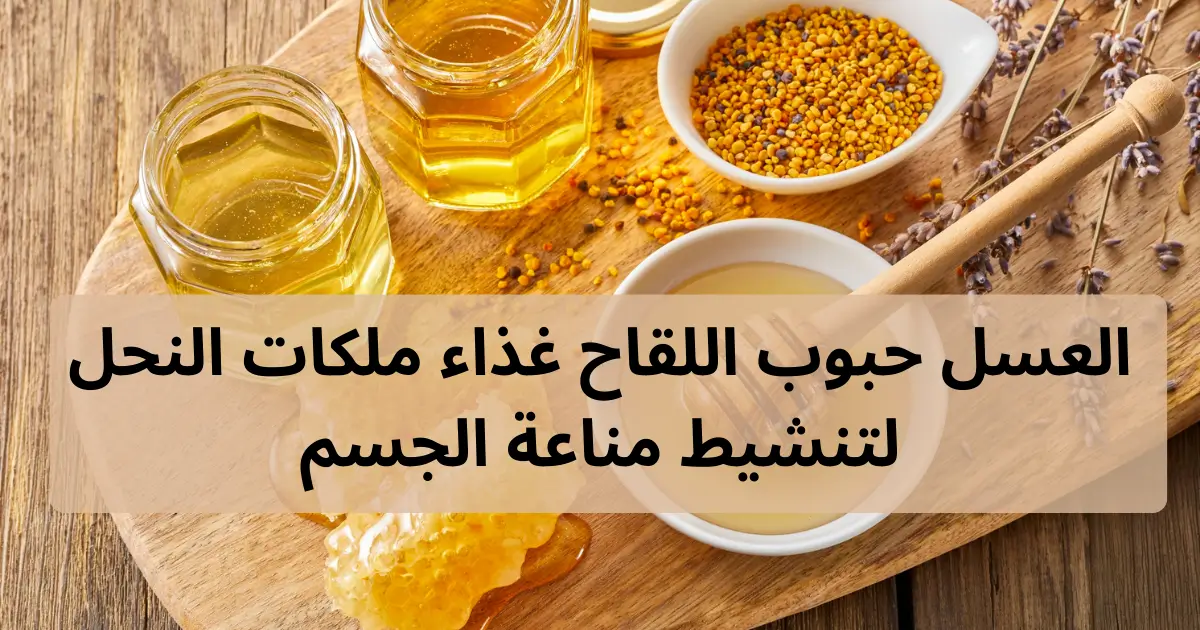 العسل حبوب اللقاح غذاء ملكات النحل لتنشيط مناعة الجسم