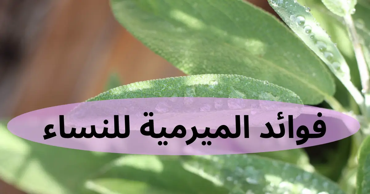 فوائد الميرمية للنساء