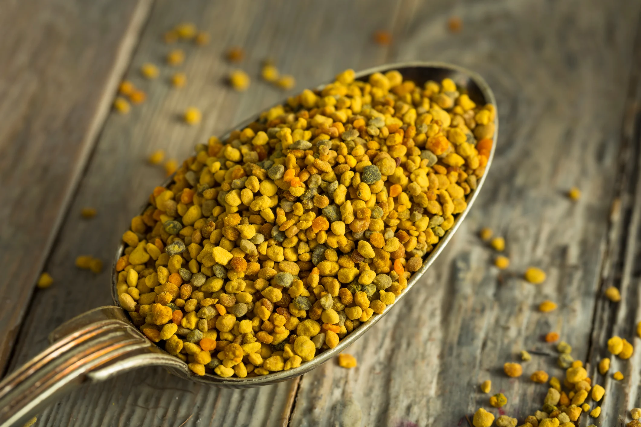 حبوب اللقاح