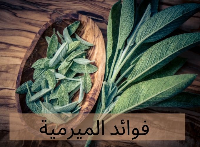 فوائد-الميرمية